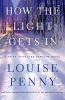 Book cover for "How the light gets in".