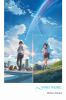 Book cover for "Your name".