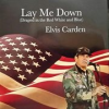 Book cover for "Lay Me Down (Draped In The Red White And Blue)".